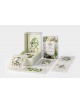 Medicinal Plants from Romania - Educational set with 80 cards for recognition and use | Hodaia