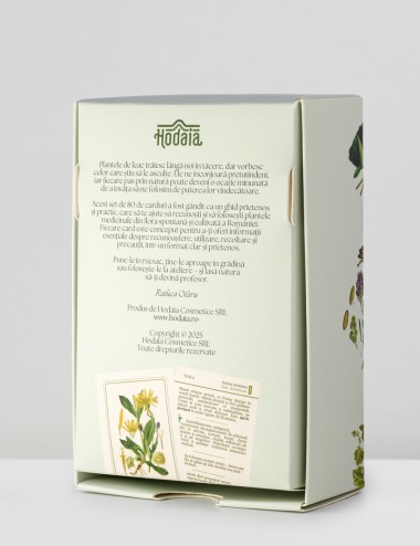 Medicinal Plants from Romania - Educational set with 80 cards for recognition and use | Hodaia