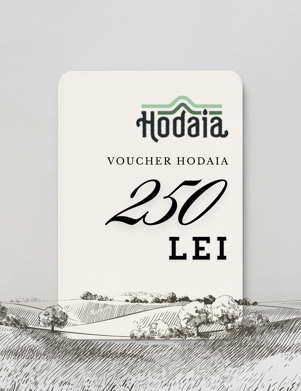 Hodaia Voucher 250 lei | Hodaia